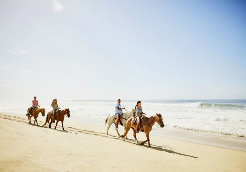 Leisure Travel Packages