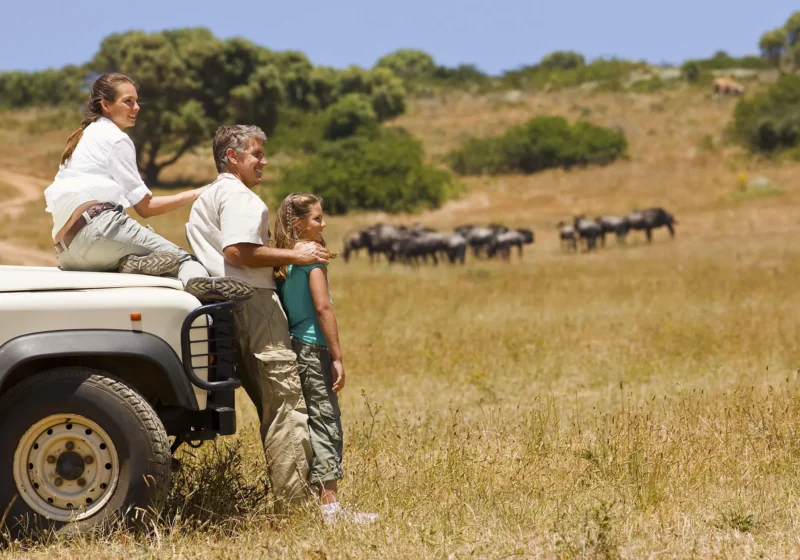 Safari Travel Packages